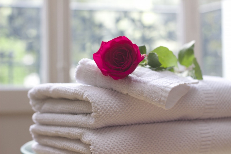 hotel-BESSE SUR ISSOLE-min_towel_rose_clean_care_salon_spa_white_bath-731641